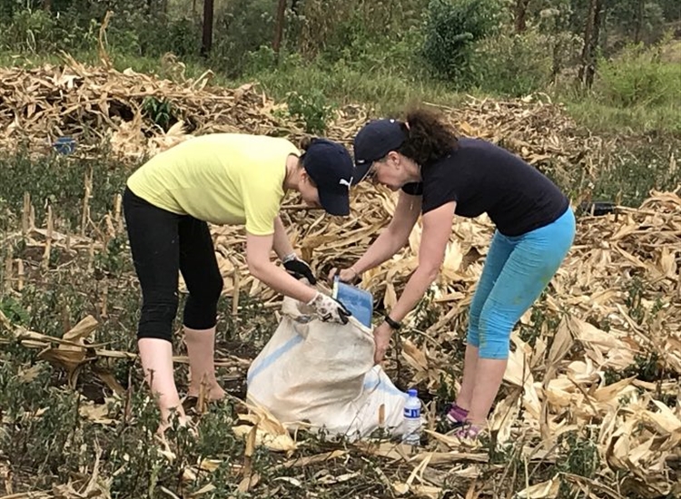Picking corn at the Farm