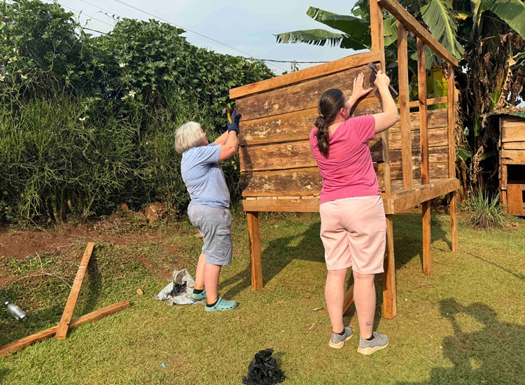 Building Chicken Coop