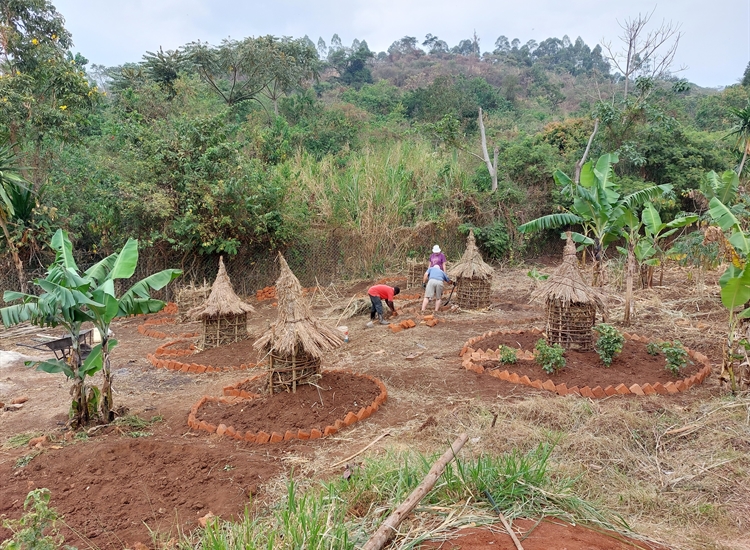 Building Kitchen Gardens