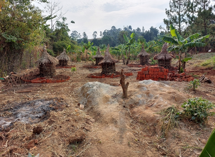Building Kitchen Gardens