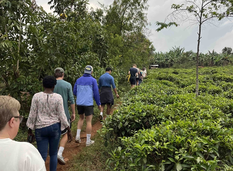 Village walk