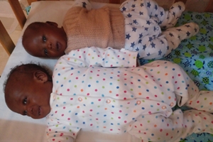 Our latest babies - twins Our latest babies - twins