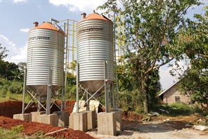 Sustainability News Sustainability News