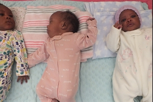 Three more babies Three more babies